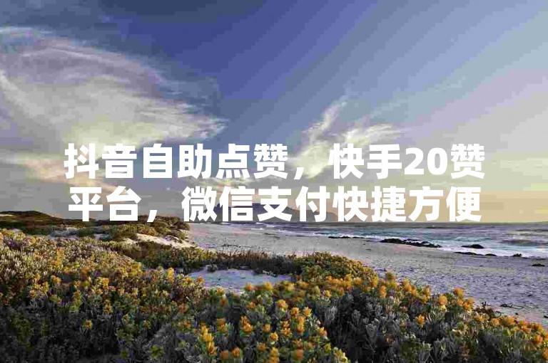 抖音自助点赞，快手20赞平台，微信支付快捷方便。
