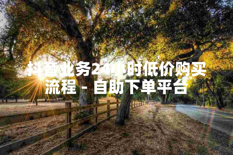 抖音业务24小时低价购买流程 - 自助下单平台