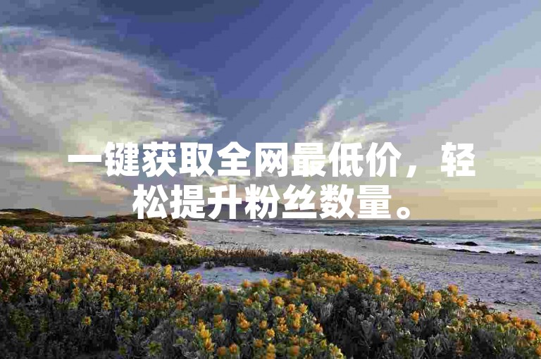 一键获取全网最低价，轻松提升粉丝数量。