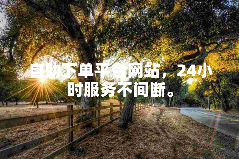 自助下单平台网站，24小时服务不间断。