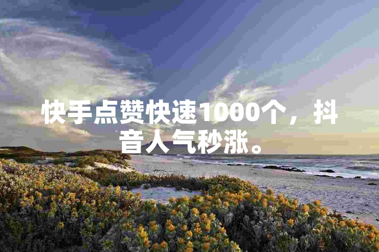 快手点赞快速1000个，抖音人气秒涨。