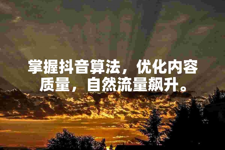 掌握抖音算法，优化内容质量，自然流量飙升。