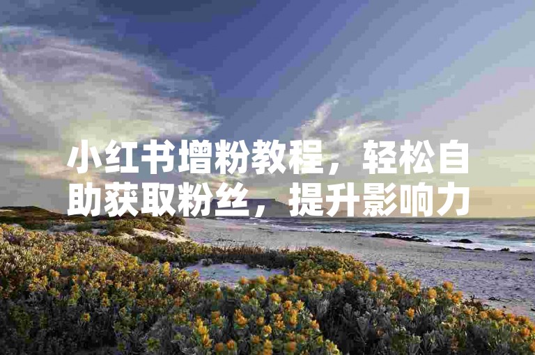小红书增粉教程，轻松自助获取粉丝，提升影响力。