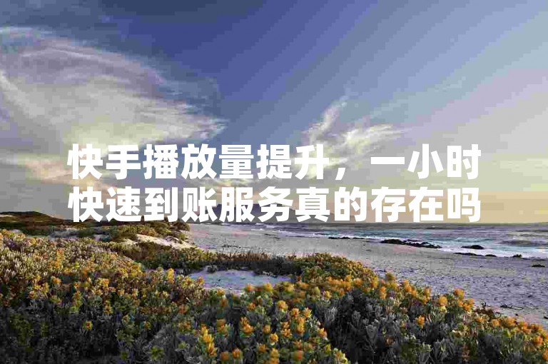 快手播放量提升，一小时快速到账服务真的存在吗？