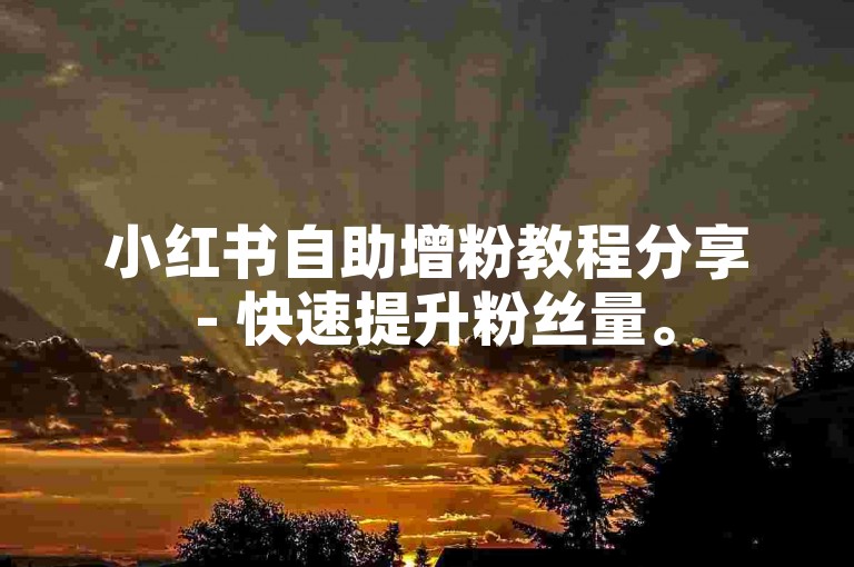 小红书自助增粉教程分享 - 快速提升粉丝量。
