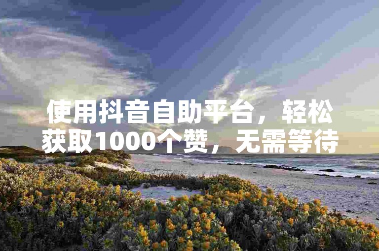 使用抖音自助平台，轻松获取1000个赞，无需等待。