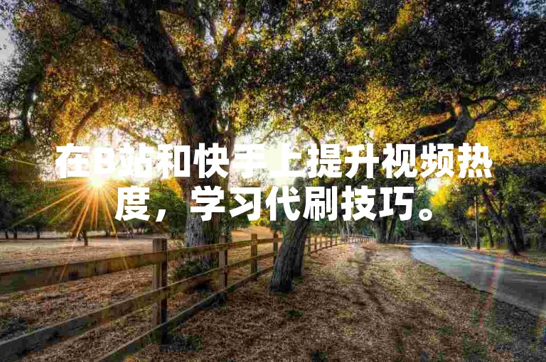 在B站和快手上提升视频热度，学习代刷技巧。