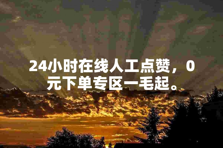 24小时在线人工点赞，0元下单专区一毛起。