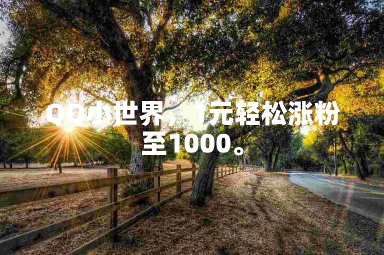 QQ小世界，1元轻松涨粉至1000。