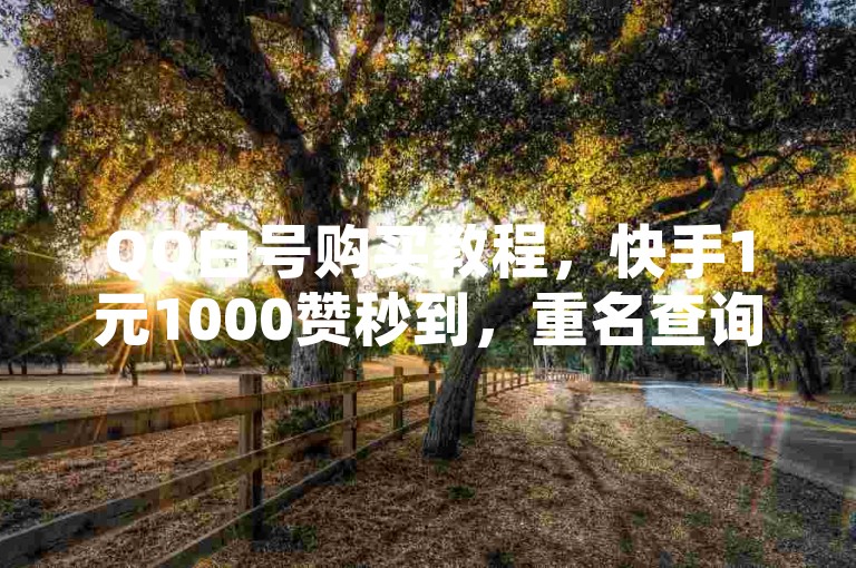 QQ白号购买教程，快手1元1000赞秒到，重名查询全国系统入口。
