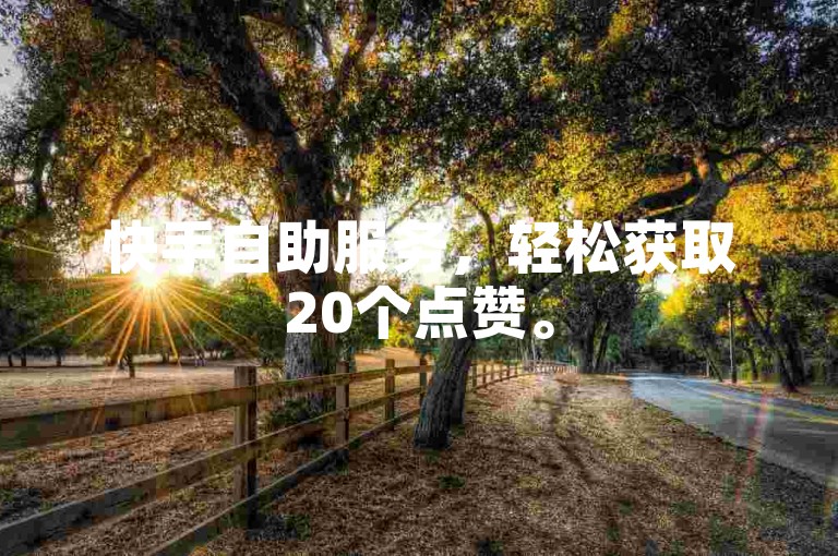 快手自助服务，轻松获取20个点赞。