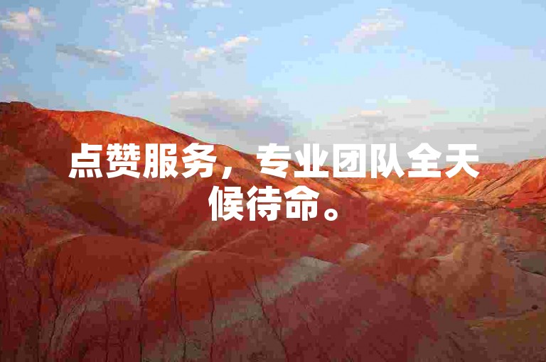 点赞服务，专业团队全天候待命。