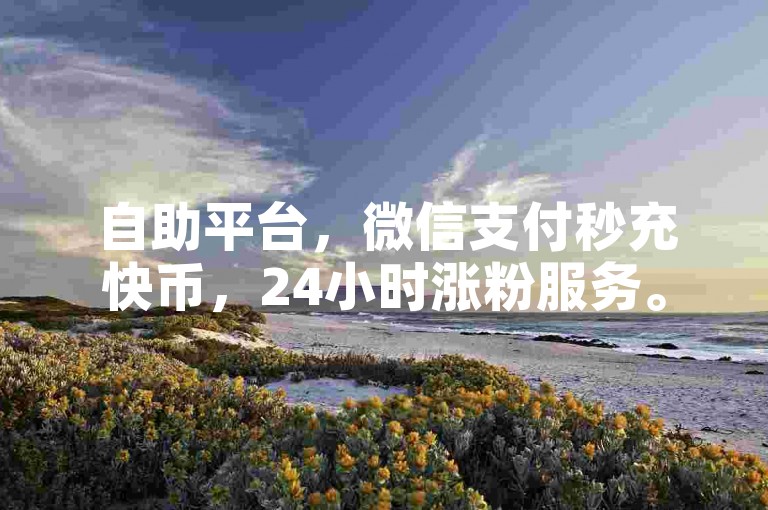 自助平台，微信支付秒充快币，24小时涨粉服务。
