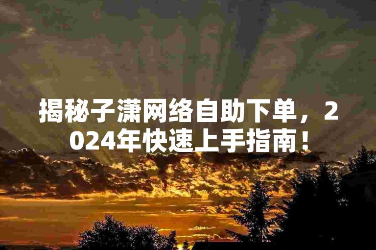 揭秘子潇网络自助下单，2024年快速上手指南！