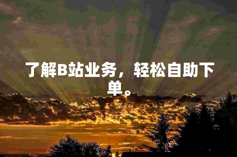 了解B站业务，轻松自助下单。