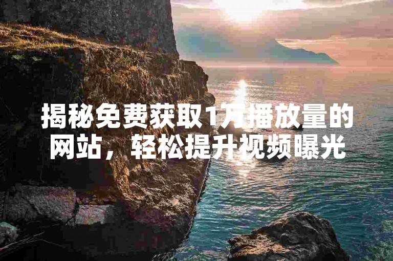 揭秘免费获取1万播放量的网站，轻松提升视频曝光度！