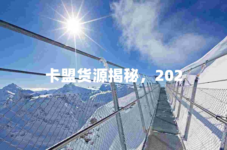 卡盟货源揭秘，2025必备知识，独家来源解析！
