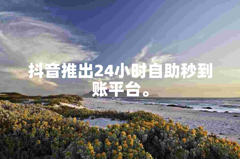 抖音推出24小时自助秒到账平台。