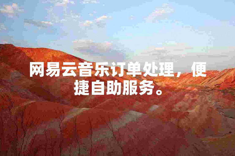 网易云音乐订单处理，便捷自助服务。