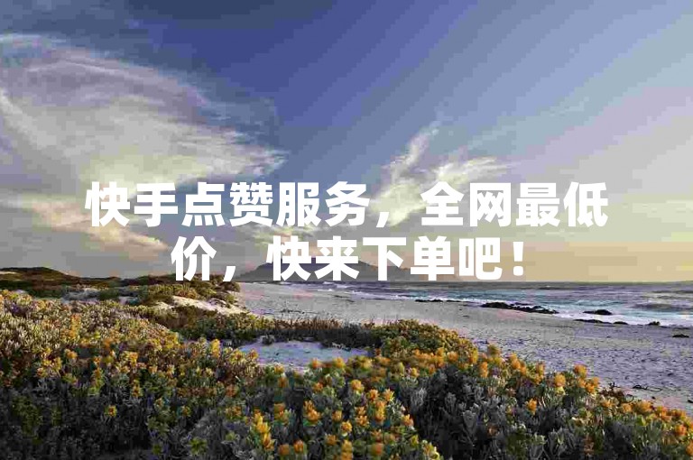 快手点赞服务，全网最低价，快来下单吧！