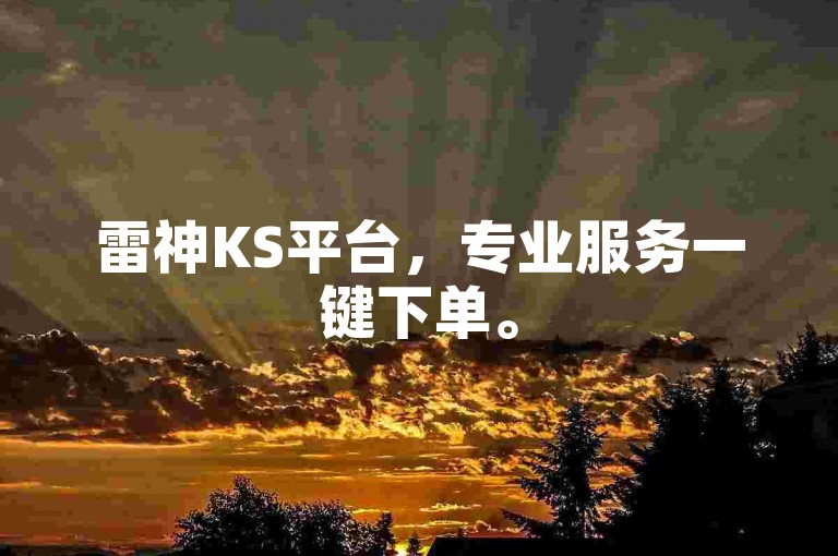 雷神KS平台，专业服务一键下单。