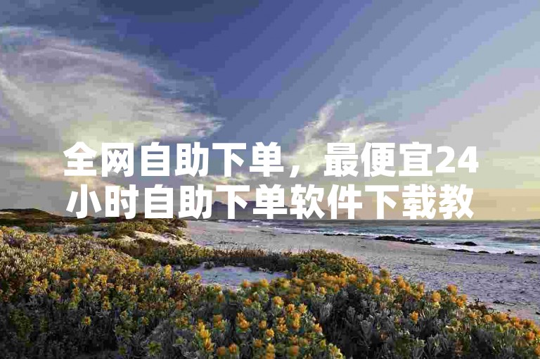 全网自助下单，最便宜24小时自助下单软件下载教程。