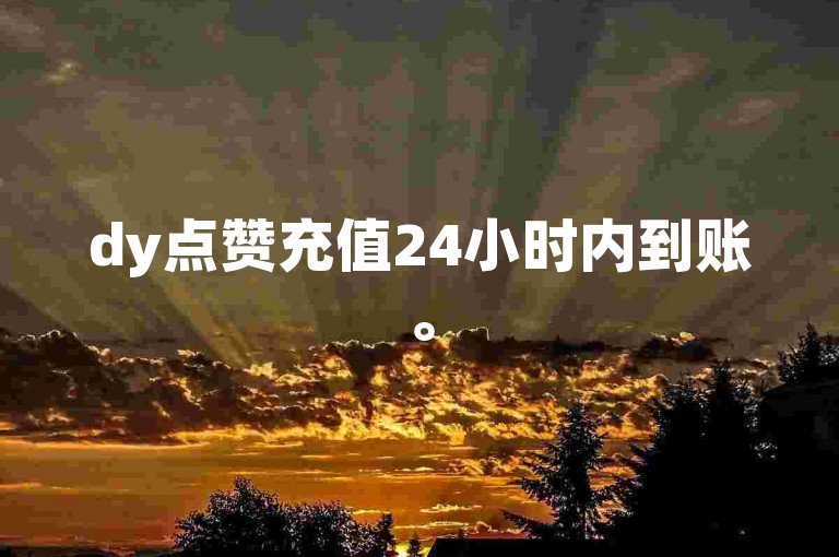 dy点赞充值24小时内到账。