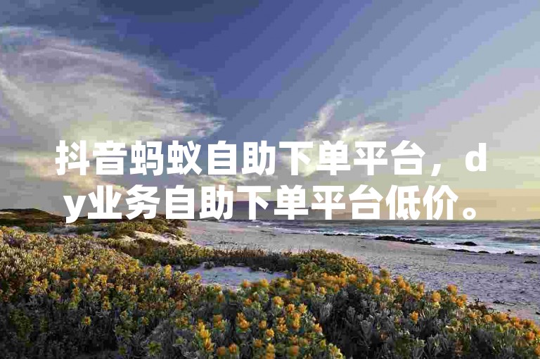 抖音蚂蚁自助下单平台，dy业务自助下单平台低价。