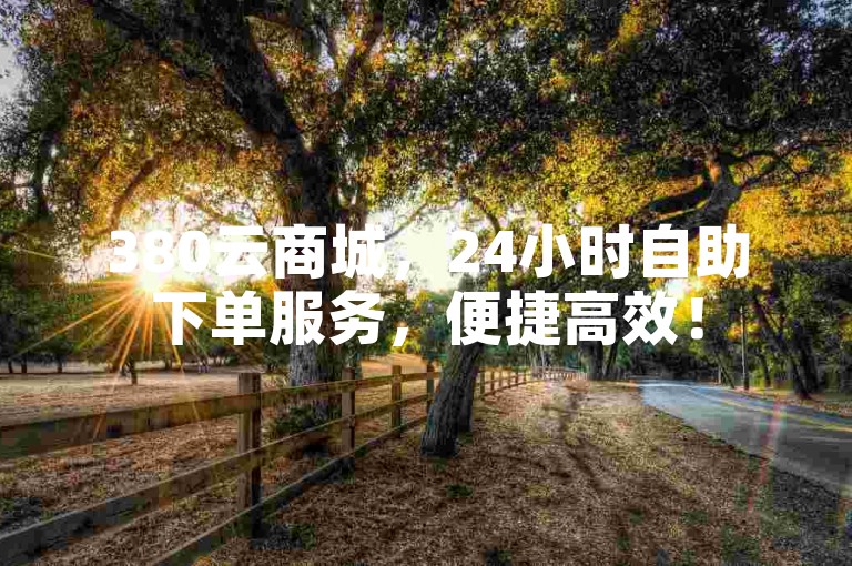 380云商城，24小时自助下单服务，便捷高效！