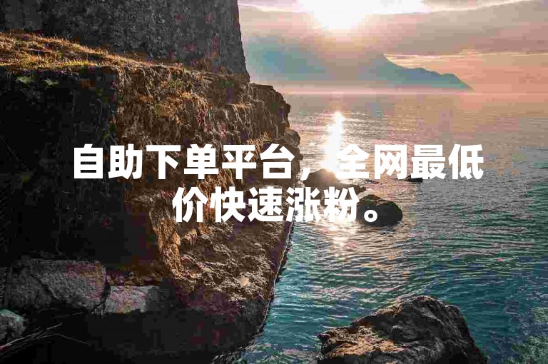 自助下单平台，全网最低价快速涨粉。