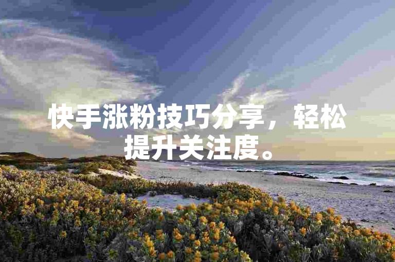 快手涨粉技巧分享，轻松提升关注度。