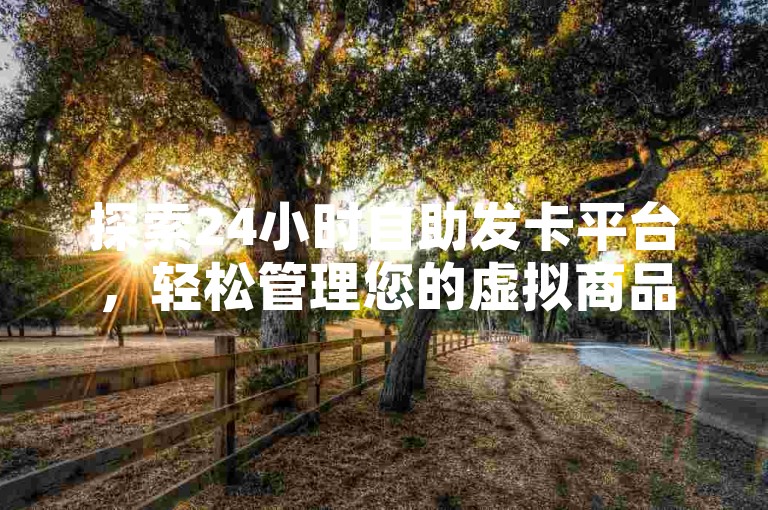 探索24小时自助发卡平台，轻松管理您的虚拟商品。
