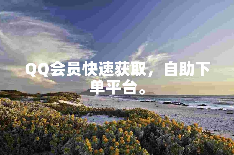 QQ会员快速获取，自助下单平台。