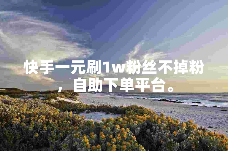 快手一元刷1w粉丝不掉粉，自助下单平台。