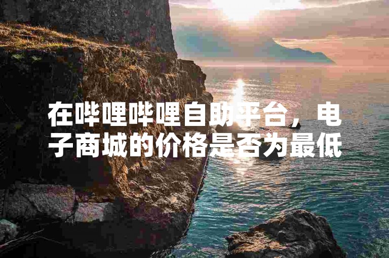 在哔哩哔哩自助平台，电子商城的价格是否为最低，这需要用户自行对比确认。