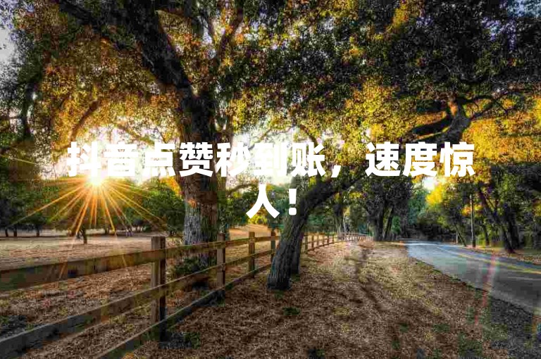 抖音点赞秒到账，速度惊人！