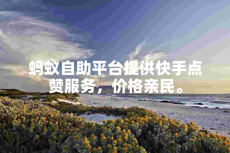 蚂蚁自助平台提供快手点赞服务，价格亲民。