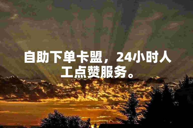 自助下单卡盟，24小时人工点赞服务。