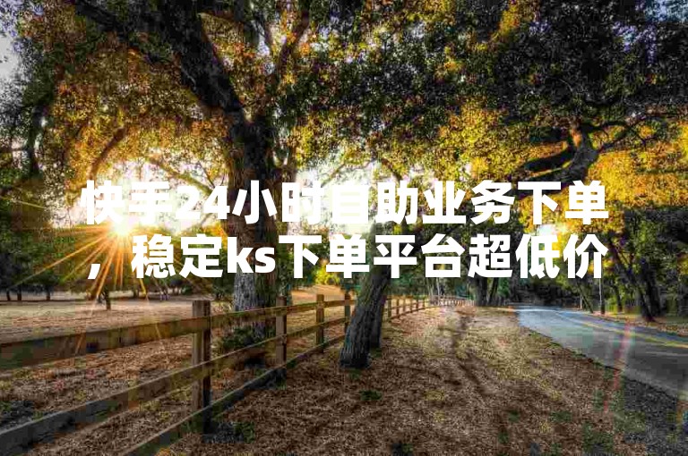 快手24小时自助业务下单，稳定ks下单平台超低价。