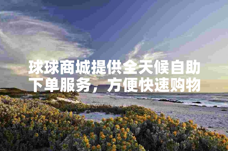 球球商城提供全天候自助下单服务，方便快速购物。