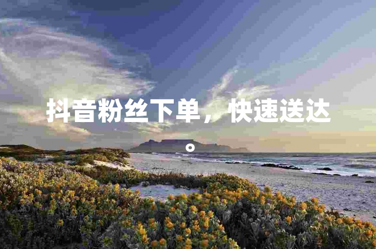 抖音粉丝下单，快速送达。