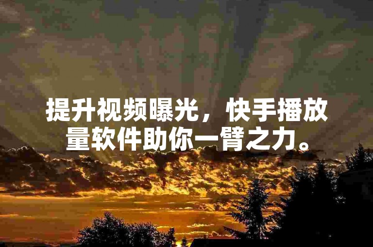 提升视频曝光，快手播放量软件助你一臂之力。