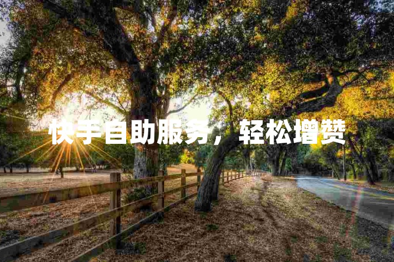 快手自助服务，轻松增赞520平台。