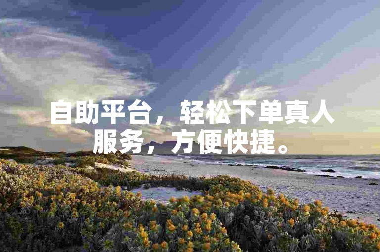 自助平台，轻松下单真人服务，方便快捷。