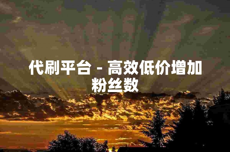 代刷平台 - 高效低价增加粉丝数