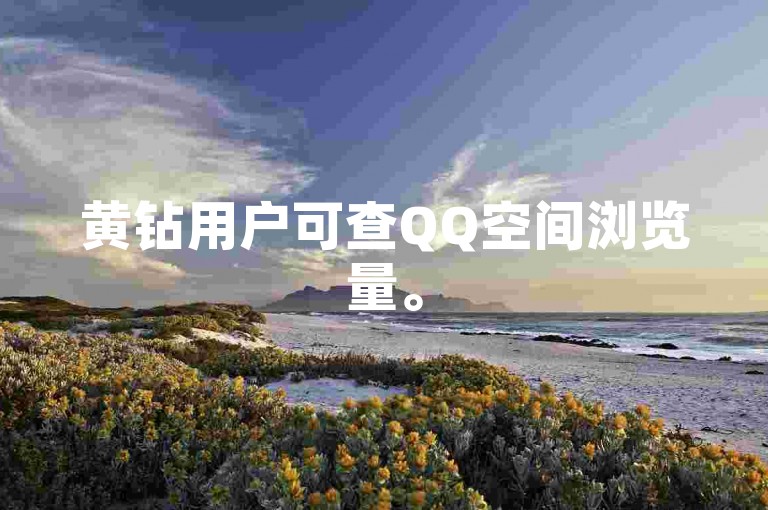 黄钻用户可查QQ空间浏览量。