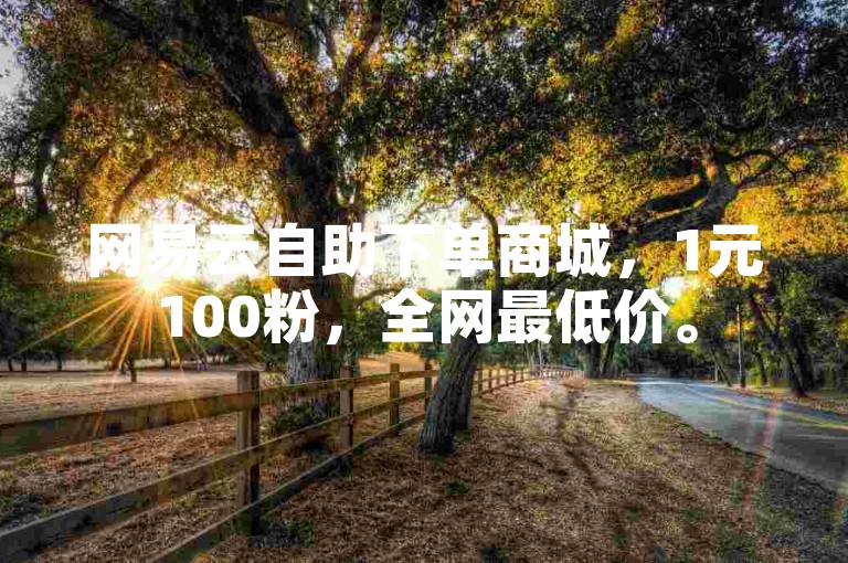 网易云自助下单商城，1元100粉，全网最低价。
