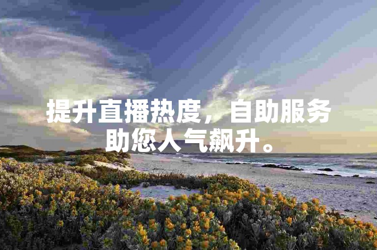 提升直播热度，自助服务助您人气飙升。