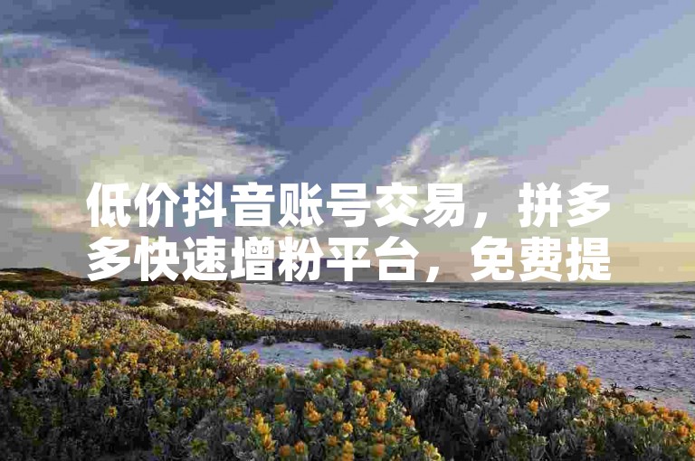 低价抖音账号交易，拼多多快速增粉平台，免费提升视频播放量。