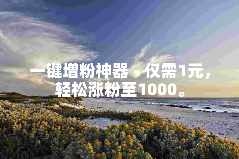 一键增粉神器 - 仅需1元，轻松涨粉至1000。
